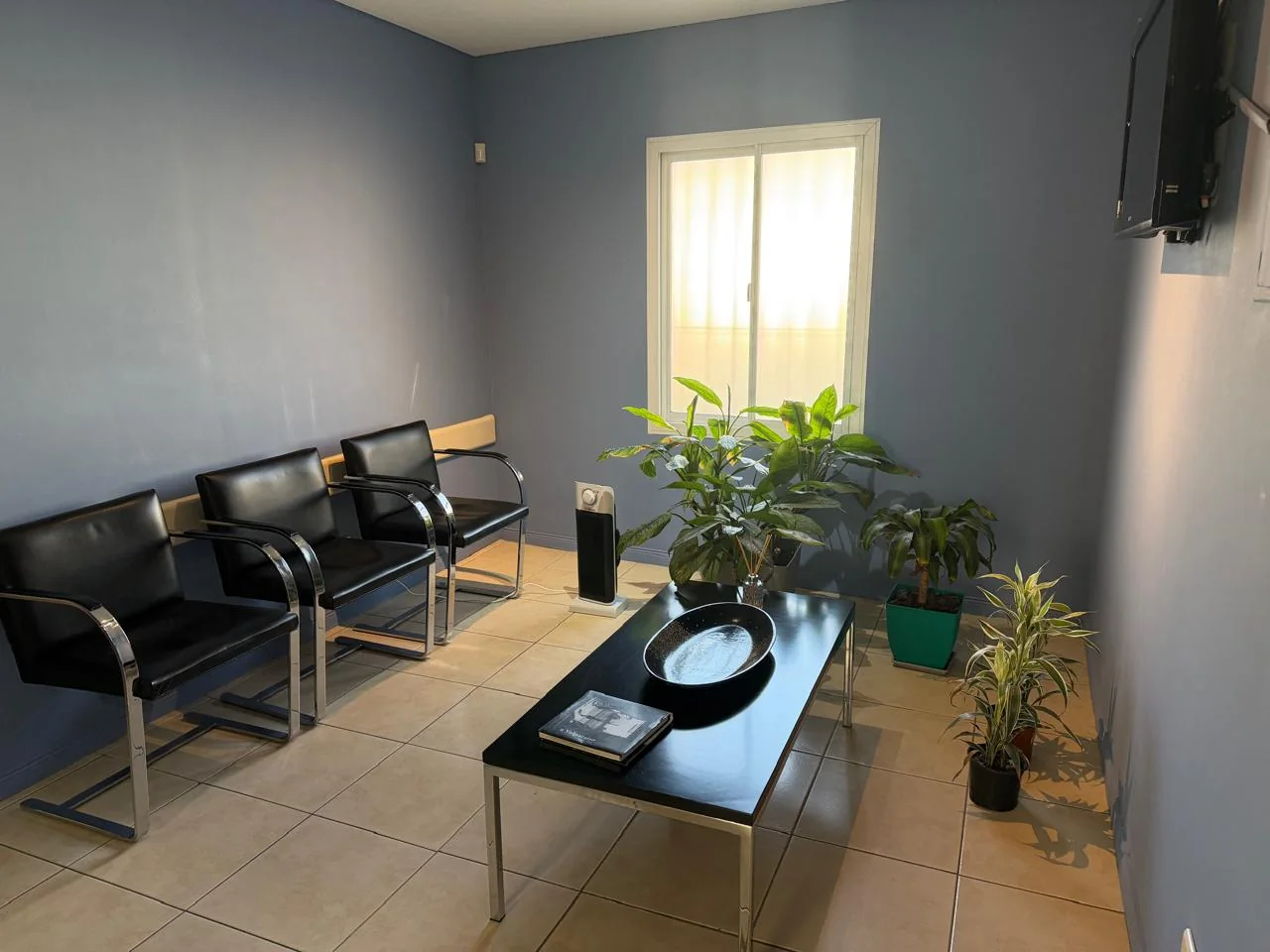 Sala de espera del consultorio de la Dra. Galia Rossi