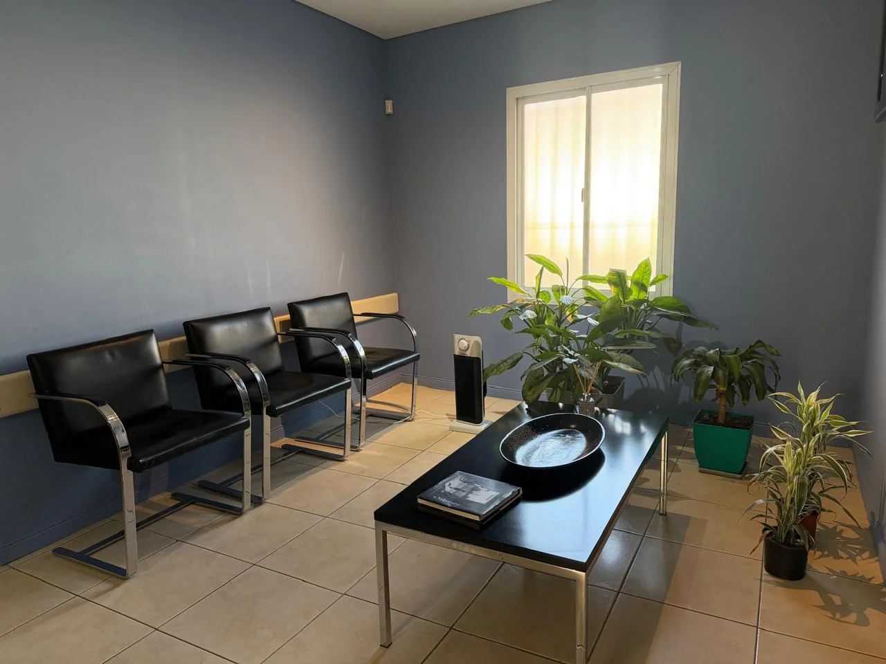 Sala de espera con sillones y plantas